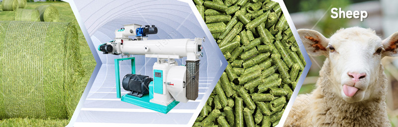 320_animal_feed_pellet_mill_supplier (1)