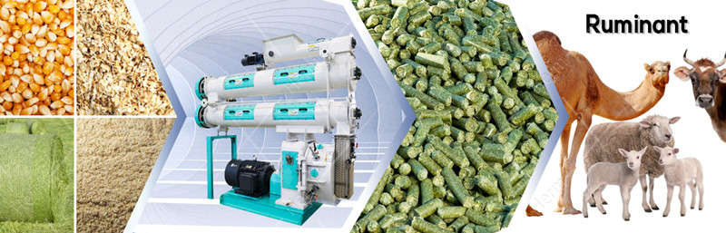 400type_feed_pelletizer_for_sale