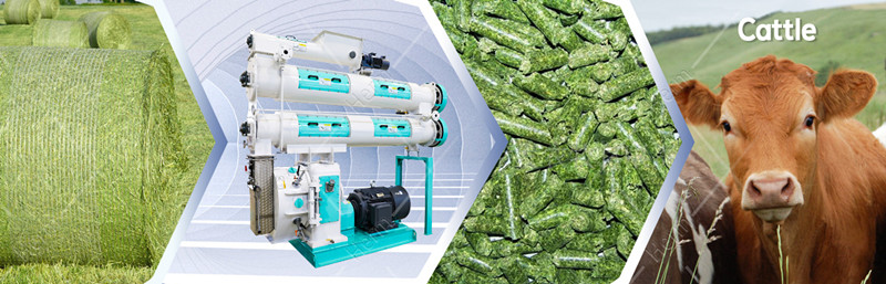 420type_animal_feed_pellet_mill_machines_price