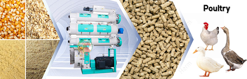 558type_feed_pellet_mills_supplier