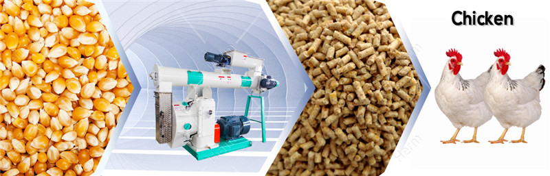 HMLH250_feed_pellet_mill_supplier