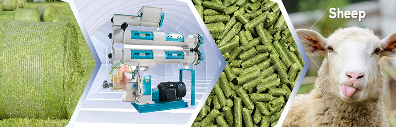 grass_feed_pellet_machine_supplier