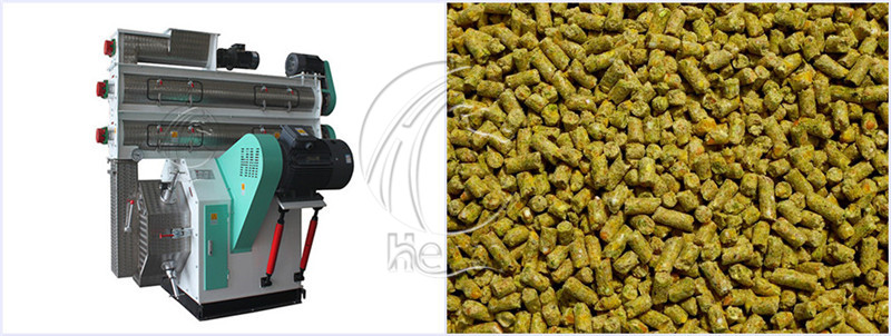 Feed_Pelletizer_for_Poultry_Feed_Making (1)
