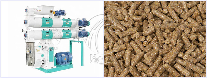 Feed_Pelletizer_for_Poultry_Feed_Making (2)