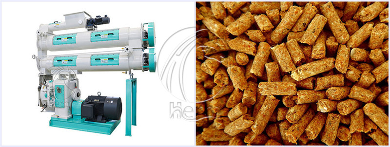 Feed_Pelletizer_for_Poultry_Feed_Making (3)