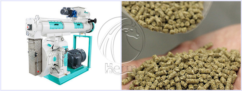 Feed_Pelletizer_for_Poultry_Feed_Making (4)