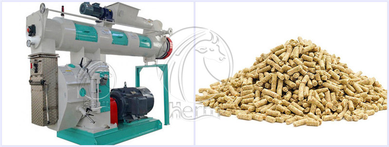 Feed_Pelletizer_for_Poultry_Feed_Making (5)