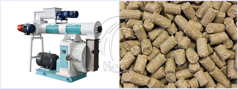 Feed_Pelletizer_for_Poultry_Feed_Making (6)