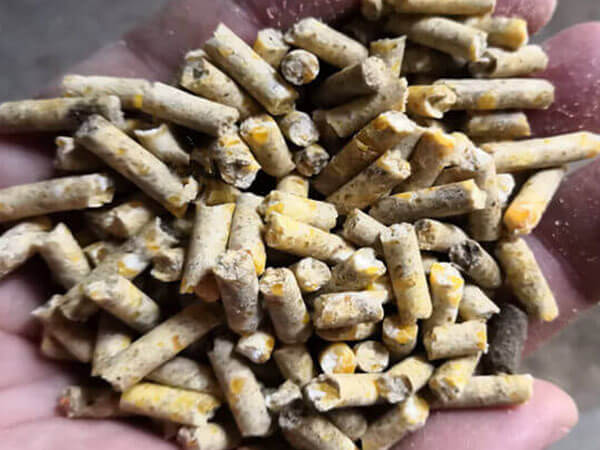 animal_feed_pellet