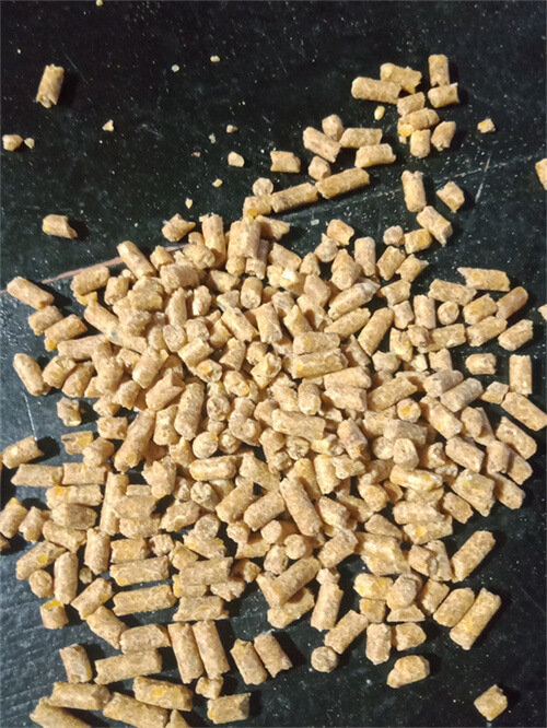 animal_feed_pellet_machine