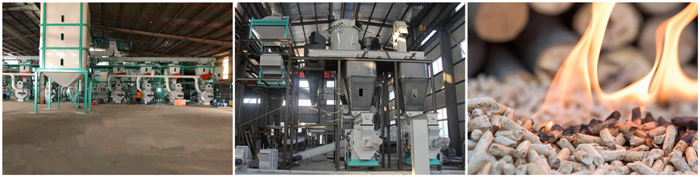 biomall_pellet_mill_plant_for_sale