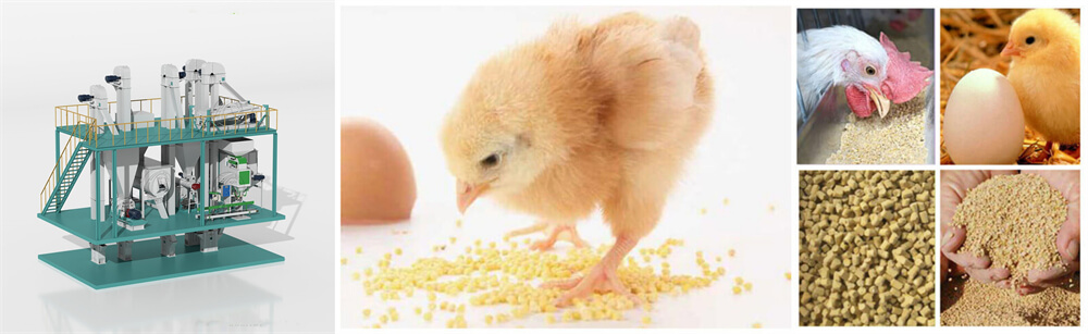 chicken_feed_pellet_machine_cost