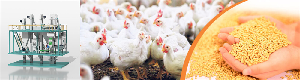 chicken_feed_pellet_machine_price
