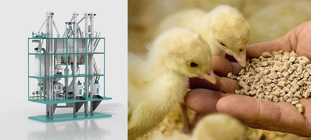 poultry_feed_pellet_machines_supplier