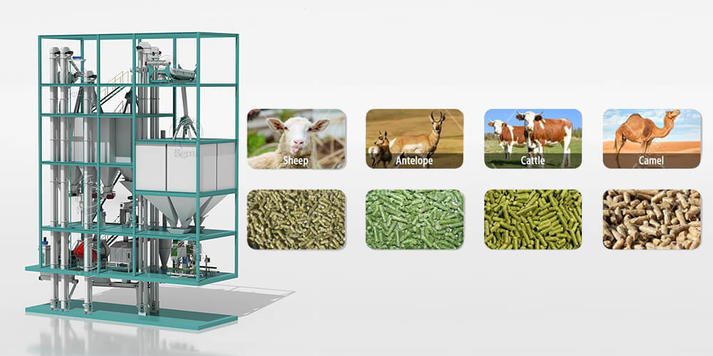 ruminant_feed_pellet_mill_plants
