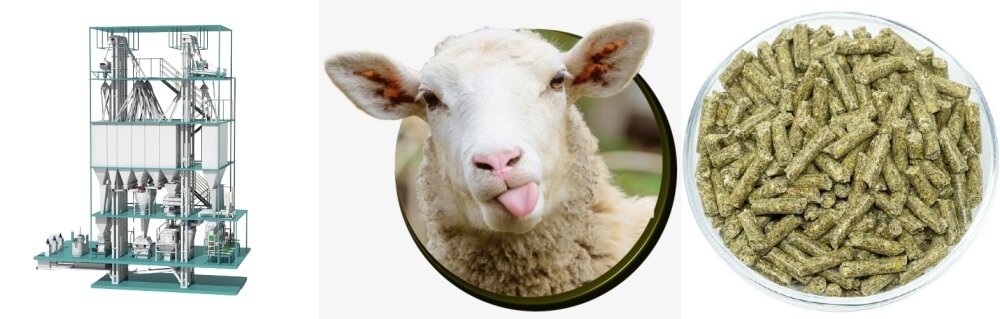 sheep_feed_pellet_mill_machine_cost