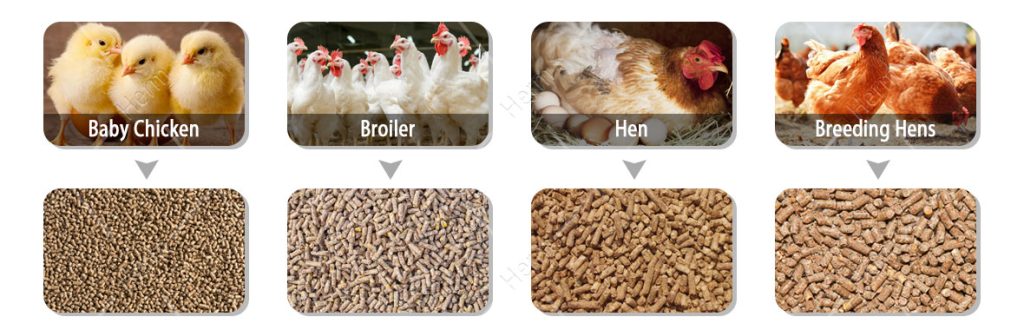 chicken_feed_mill_price