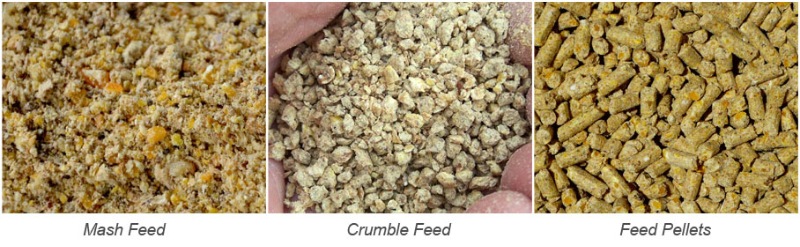 13_18ton_per_hour_turnkey_complete_feed_mill_productuction_line 9