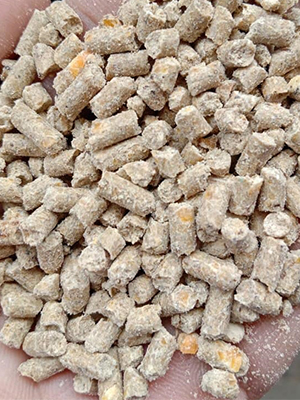 turnkey_complete_feed_mill_plant 3