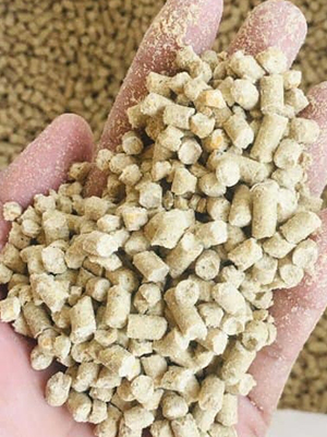 turnkey_complete_feed_mill_plant 4