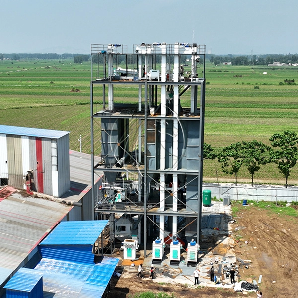 Algeria_Feed_Mill_Market 5