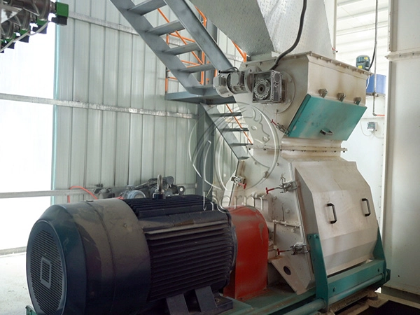 Animal_Feed_Market_in_Algeria_Demand_ Imports_and_Future_Opportunities 2