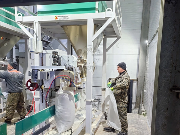 Key_Questions_to_Consider_Before_Building_a_Feed_Mill_A_Professional_Guide 2