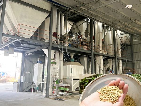 feed_mill_plant_layout_design 5